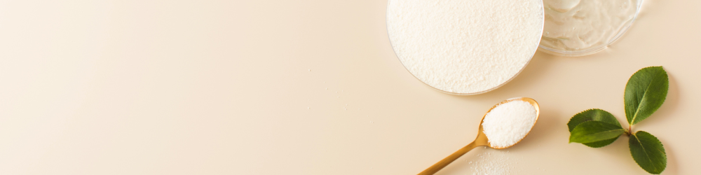 hyaluronzuur supplement hyaluronzuur supplement