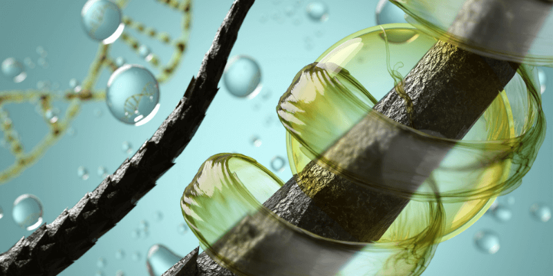 vitaminen voor haargroei Perfect Age (1)